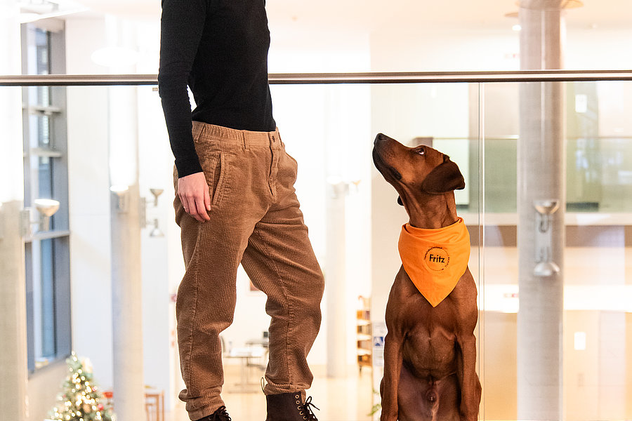 Frau in schwarzem Oberteil und brauner Hose steht neben sitzendem Hund mit orangefarbener Halstuch in modernem Innenraum
